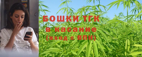 хмурый Белокуриха