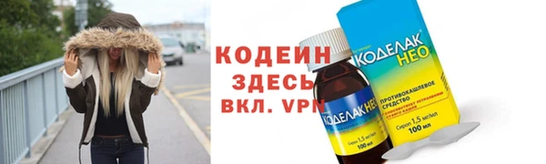 хмурый Белокуриха