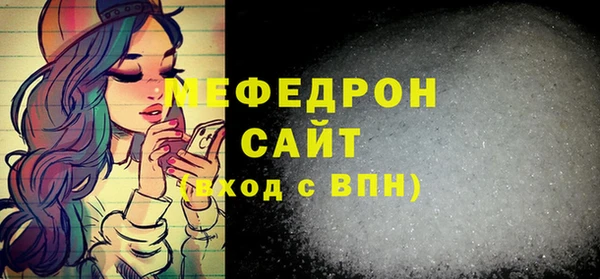 индика Дмитровск