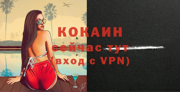 хмурый Белокуриха