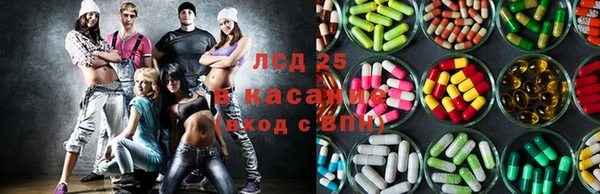 хмурый Белокуриха
