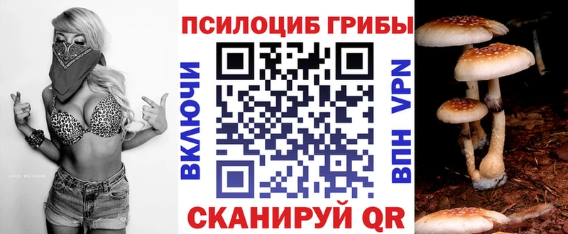 где можно купить   МЕГА маркетплейс  Галлюциногенные грибы Magic Shrooms  Черноголовка 